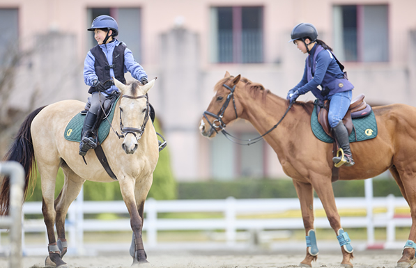 乗馬クラブ開設イメージ