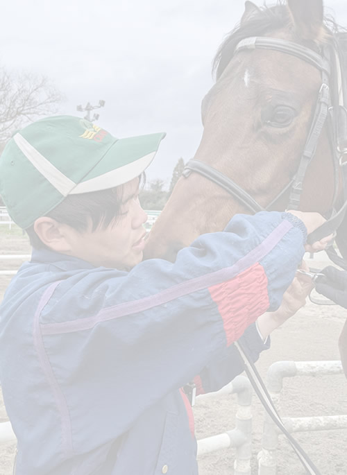 乗馬クラブクレイン千葉富里 指導部 大濱 拓海